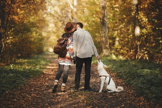 Haus-Familie-Wohnen-Garten-Land-Serie-31-11